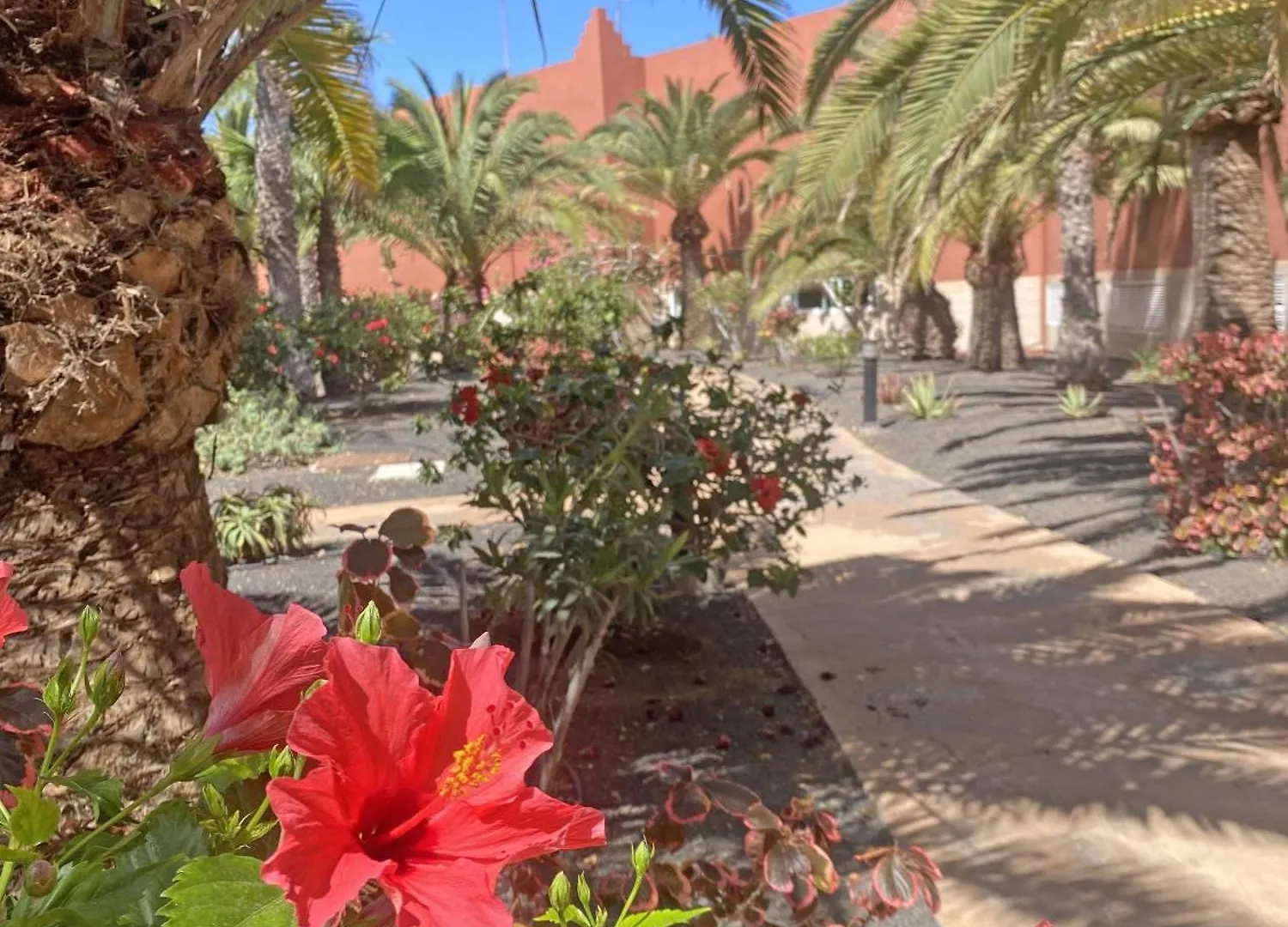 New Tamarindo La Ola Apartment Corralejo