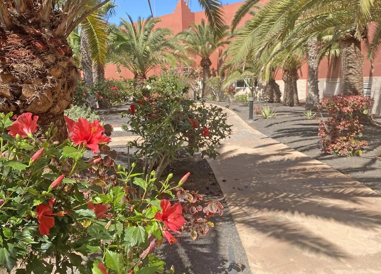 New Tamarindo La Ola Apartment Corralejo Spain