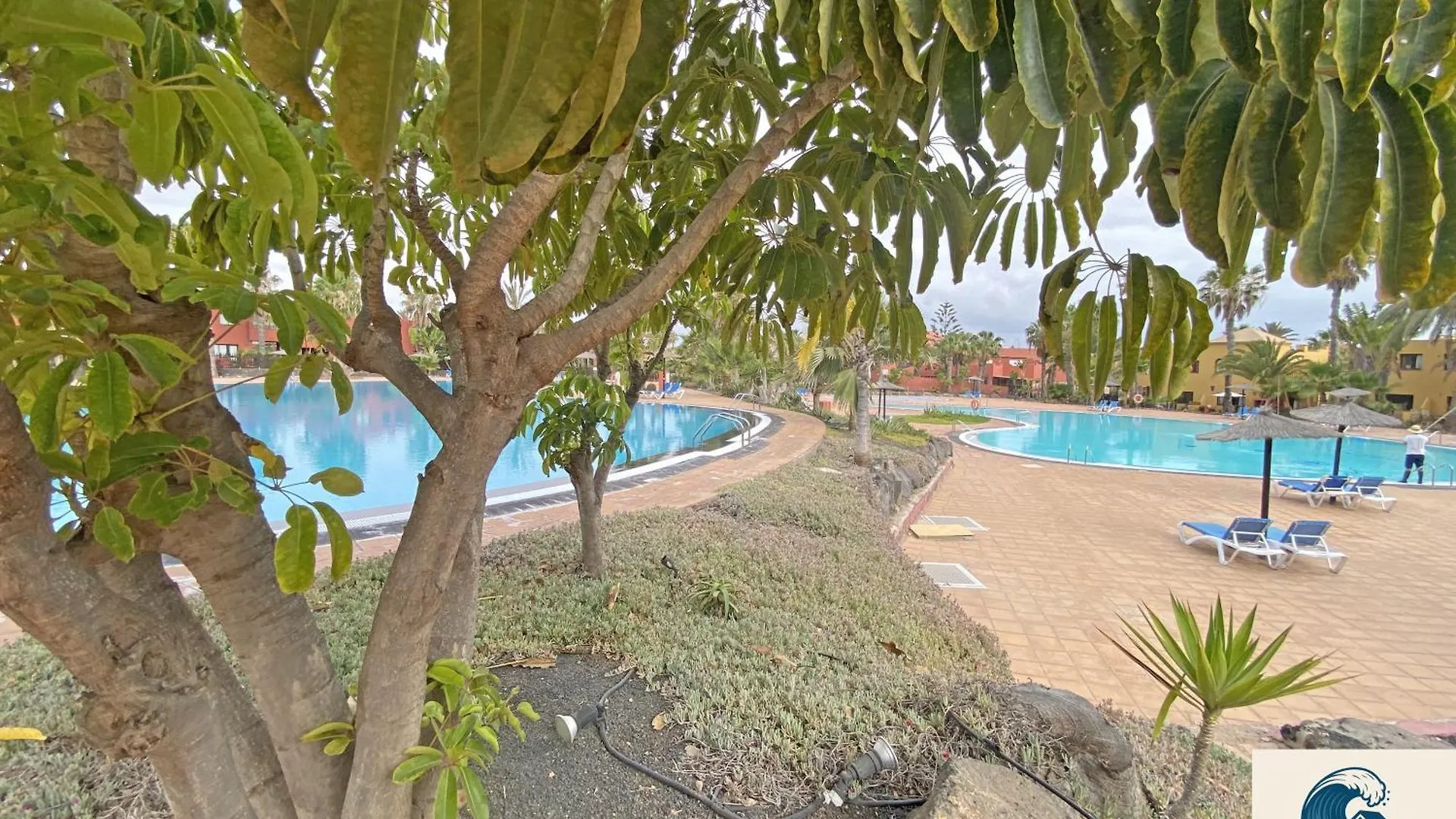 New Tamarindo La Ola Apartment Corralejo Spain