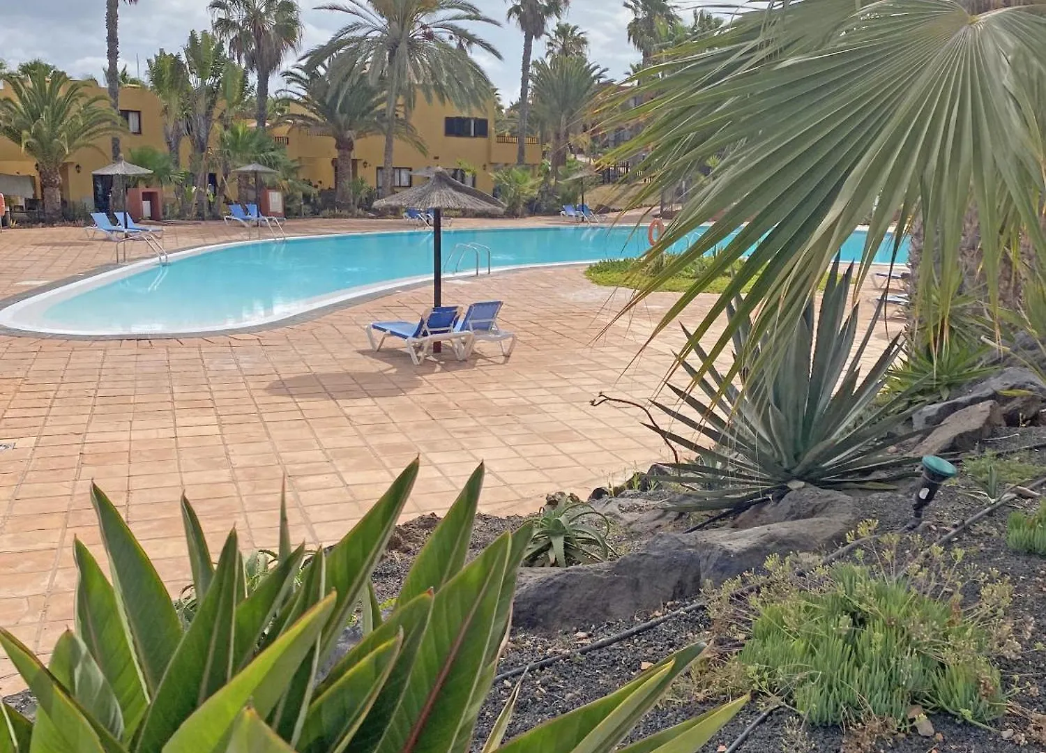 New Tamarindo La Ola Apartment Corralejo Spain